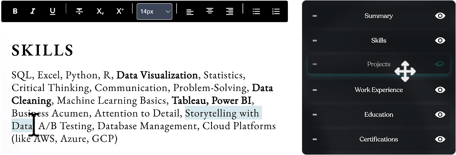 Resume Customization Interface